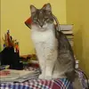 Отзыв от Аня Трошина